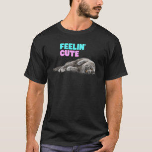 Niedliche Katze Feelin Niedlich rosa Blau T-Shirt