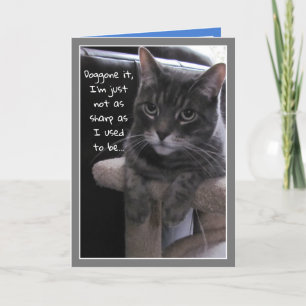 Niedliche Katze Funny Belated Geburtstagskarte Karte