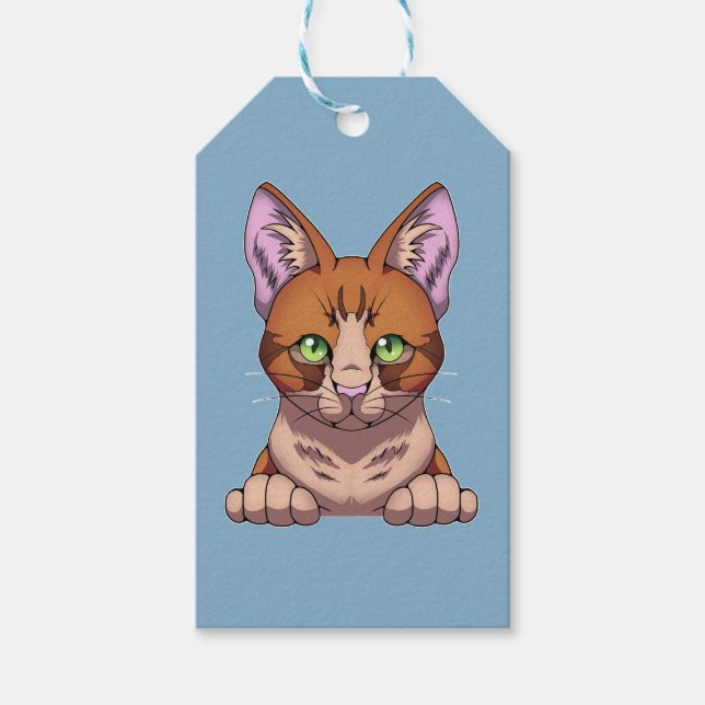 Niedliche Katze Geschenkanhänger (Vorderseite)