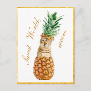 Niedliche Katze in Ananas - Funny Meow Kitty Postkarte