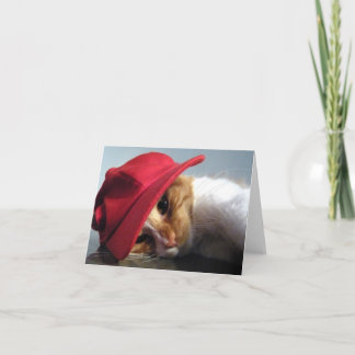 Niedliche Katze in der roten Karte