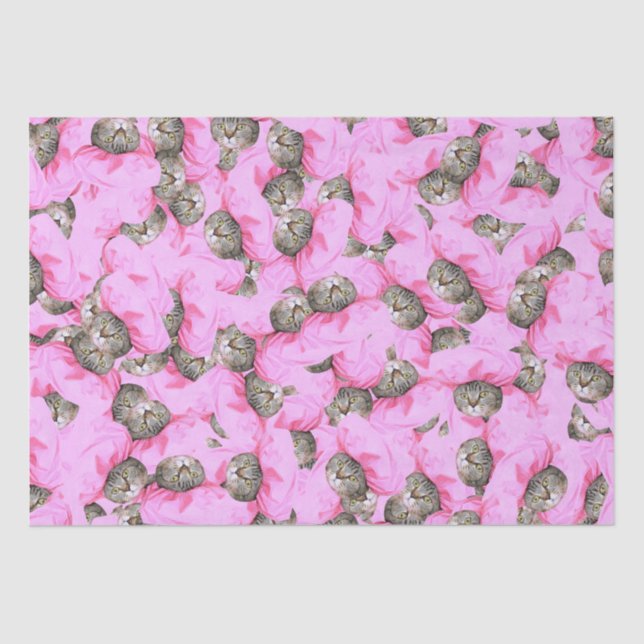 Niedliche Katze in einem rosa Muster Seidenpapier (Vorderseite)