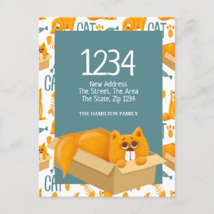 Niedliche Katze in einer Schachtel - Wir haben Zuh Postkarte