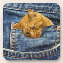 Niedliche Katze in Jeans Tasche lustige Illusion