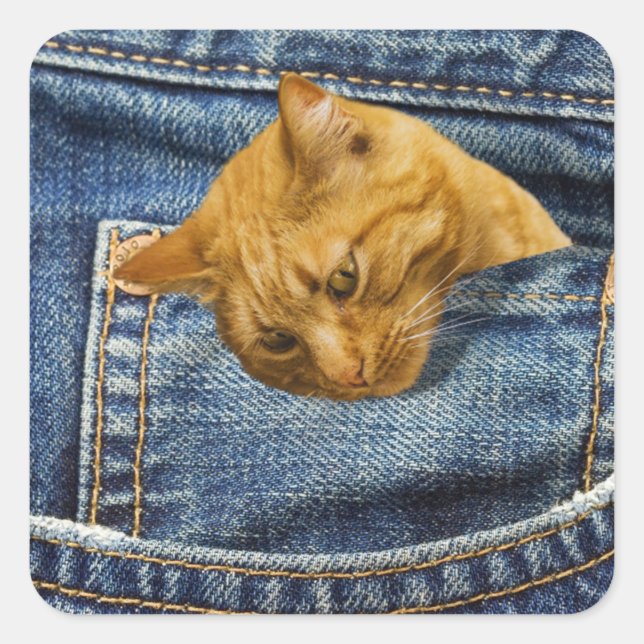 Niedliche Katze in Jeans Tasche lustige Illusion Quadratischer Aufkleber (Vorderseite)