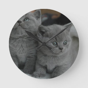 niedliche Katze jungen Kätzchenhaustierschnurren Runde Wanduhr