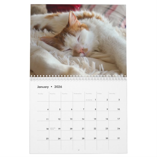 Niedliche Katze & Kitten 2023 Kalender (Jan 2026)