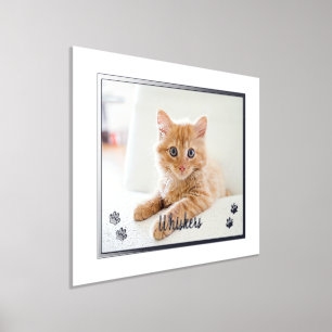 Niedliche Katze Liebe Personalisiertes Foto Hausti Foliendrucke
