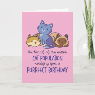 Niedliche Katze Lover Purfect Geburtstag Funny Karte
