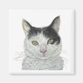 Niedliche Katze Magnet