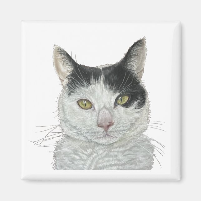 Niedliche Katze Magnet (Vorne)