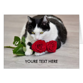 Niedliche Katze mit der Roten Rose