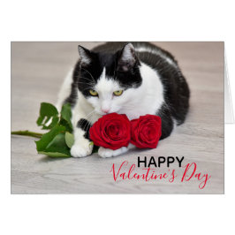 Niedliche Katze mit der Roten Rose