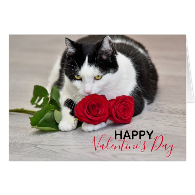 Niedliche Katze mit der Roten Rose (Vorderseite (Horizontal))