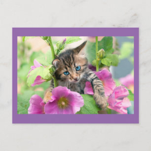 Niedliche Katze mit rosa Blume Postkarte
