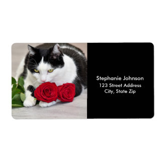 Niedliche Katze mit rote Rose