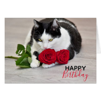 Niedliche Katze mit rote Rose