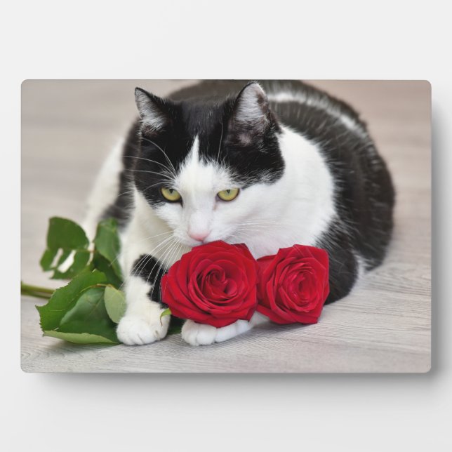 Niedliche Katze mit rote Rose Fotoplatte (Vorderseite)