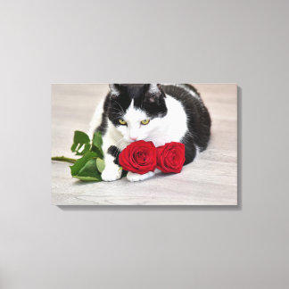 Niedliche Katze mit rote Rose Leinwanddruck