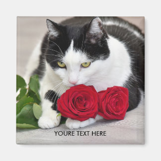 Niedliche Katze mit rote Rose Magnet