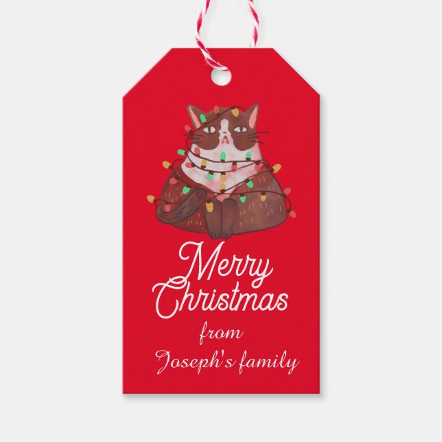 Niedliche Katze mit Weihnachtslicht Geschenkanhänger (Vorderseite)