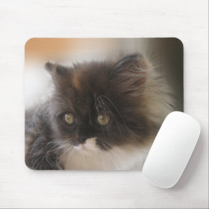 Niedliche Katze Mousepad