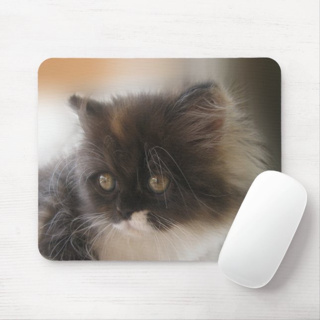 Niedliche Katze Mousepad (Mit Mouse)