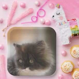 Niedliche Katze Pappteller