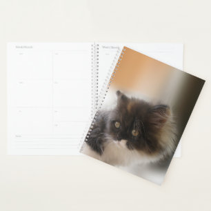 Niedliche Katze Planer