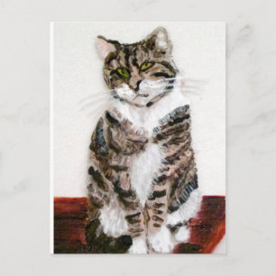 Niedliche Katze Postkarte