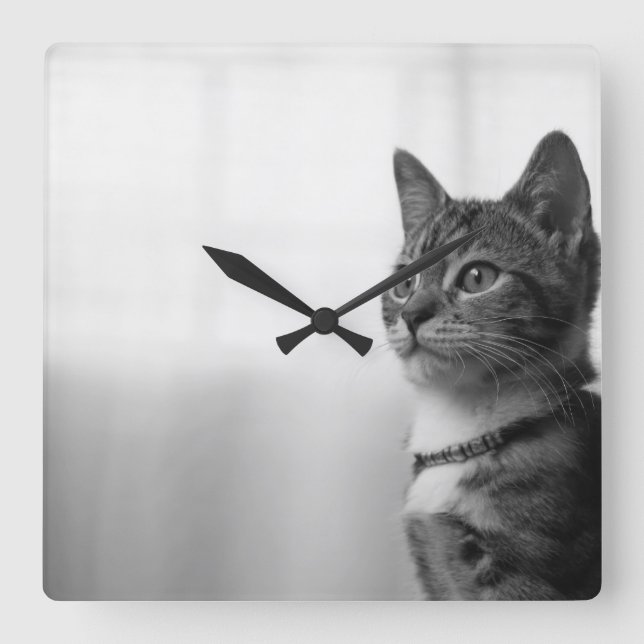 Niedliche Katze Quadratische Wanduhr (Vorderseite)