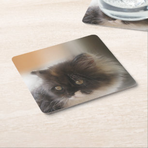 Niedliche Katze Rechteckiger Pappuntersetzer