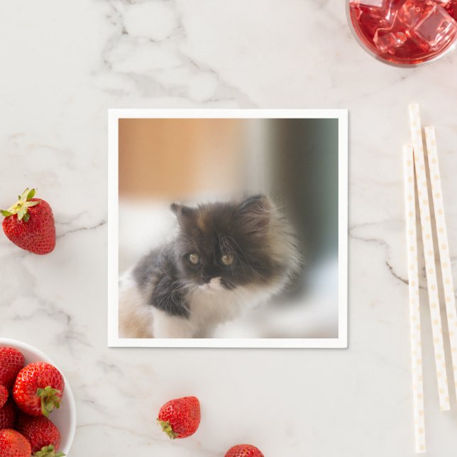 Niedliche Katze Serviette (Beispiel)