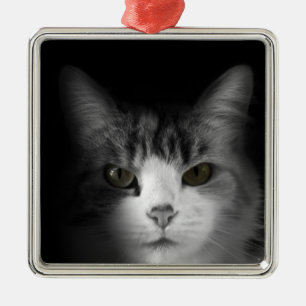 Niedliche Katze Silbernes Ornament