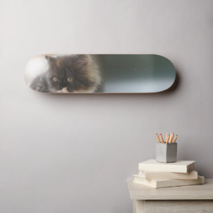 Niedliche Katze Skateboard