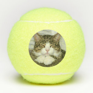 Niedliche Katze Tennisbälle