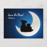 Niedliche Katze und Hund - Save the Date Postkarte