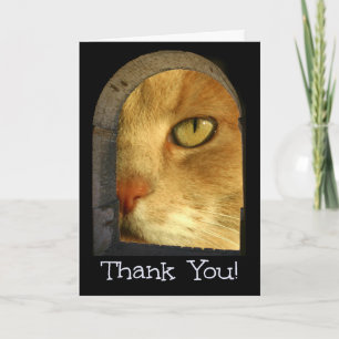 Niedliche Katze Vielen Dank für die Sitzkarte für  Dankeskarte