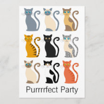 Niedliche Katzen 40. Geburtstag