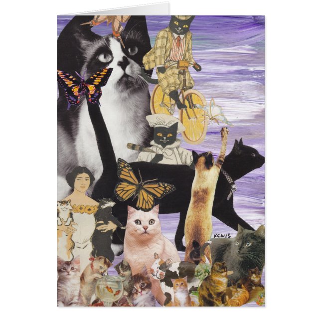 Niedliche Katzen-Collage 4 (Vorne)