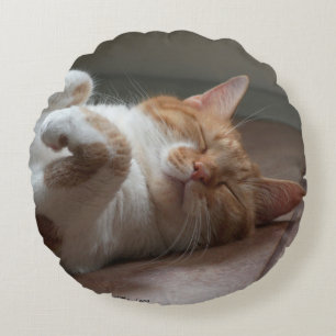 Niedliche Katzen, die im runden Kissen schlafen