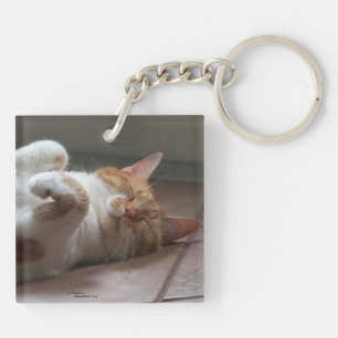 Niedliche Katzen, die Schlüsselanhänger schlafen