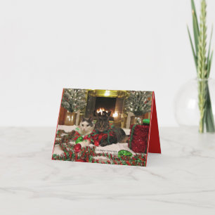 Niedliche Katzen, die Weihnachten feiern Karte