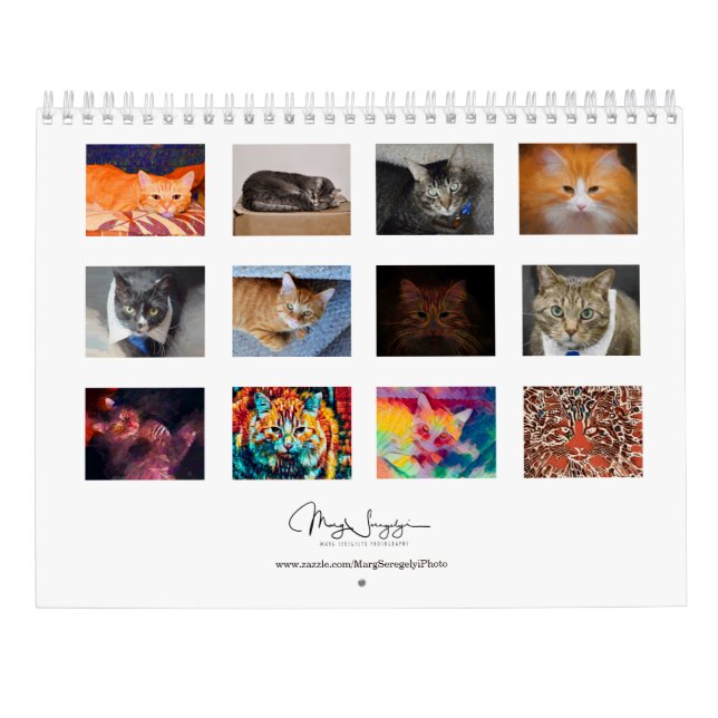 Niedliche Katzen Foto Art Design 2023 Monatlich Kalender (Rückseite)