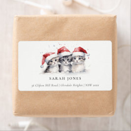 Niedliche Katzen Furcht und helle Weihnachtsadress