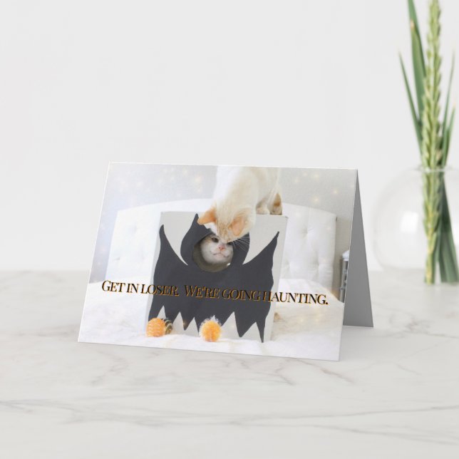Niedliche Katzen Halloween-Bat-Kostüme Karte (Vorderseite)