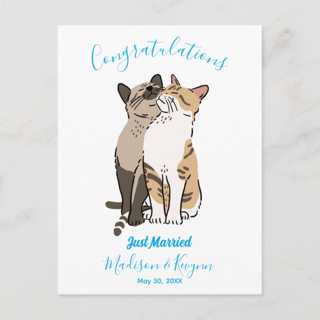 Niedliche Katzen Hochzeit Postkarte (Vorderseite)