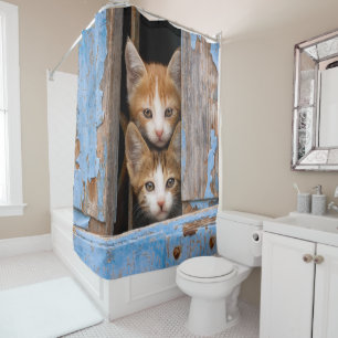 Niedliche Katzen in einem Blue Vintag Window Anima Duschvorhang