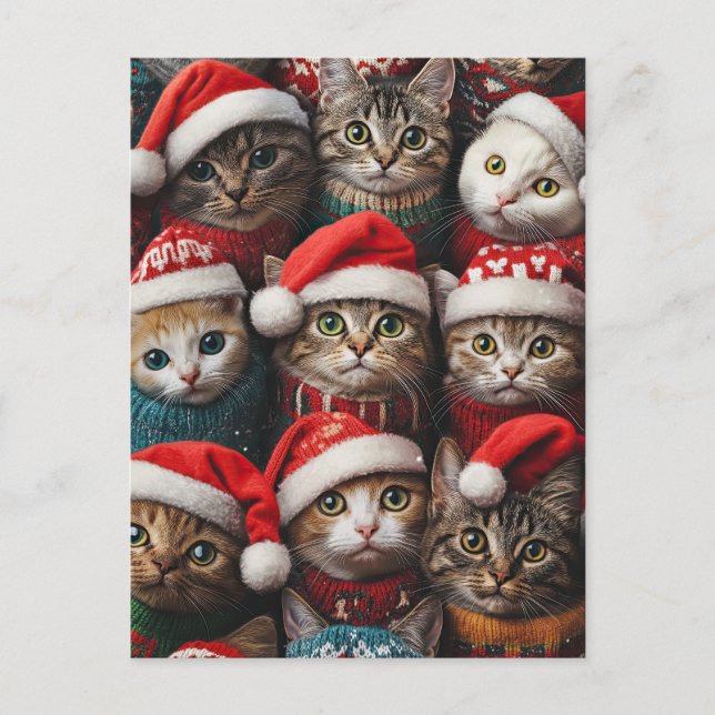 Niedliche Katzen in Weihnachtsmannmützen Weihnacht Postkarte (Vorderseite)