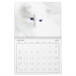Niedliche Katzen Kalender